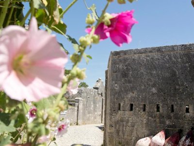 Cliquez pour découvrir toutes les photos de l'ÉTABLISSEMENT ! résidence Pierre & Vacances Le Fort De La Rade photo 29