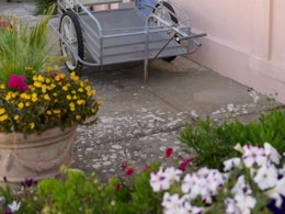 Camping Pas Cher vous présente avec son site Officiel campingpascher.fr, la Résidence Pierre & Vacances Le Fort De La Rade classé 3 étoiles, située sur la commune de L'ile D'aix dans le département Charente-maritime (Poitou Charentes) en France. La résidence Pierre & Vacances Le Fort De La Rade, vous présente un hébergement de type maison de 52 m² pour 1 personne et télévision. La résidence Pierre & Vacances Le Fort De La Rade vous propose du lundi 06 avril au lundi 13 avril 2026 pour 7 nuits à 588€. Cette location propose 140 dates différentes pour réserver votre séjour. Découvrez également les 4 autres gammes d'hébergements de la résidence. Piscine chauffée, Piscine extérieure, Baby-foot, Court de tennis, Ping-pong, Planche à voile, Épicerie,... En savoir plus : cliquez-ICI.