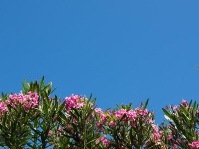 Cliquez pour découvrir toutes les photos de l'ÉTABLISSEMENT ! résidence Pierre & Vacances La Rostagne photo 9