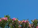 Cliquez pour découvrir toutes les photos de l'ÉTABLISSEMENT ! résidence Pierre & Vacances La Rostagne photo 9