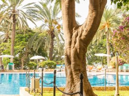 Camping Pas Cher vous présente avec son site Officiel campingpascher.fr, la Résidence Pierre & Vacances Marazul Del Sur classé 3 étoiles, située sur la commune de Tenerife dans le département Iles Canaries ((les) Iles Canaries) en Espagne. La résidence Pierre & Vacances Marazul Del Sur, vous présente un hébergement de type appartement de 75 m² et télévision. La résidence Pierre & Vacances Marazul Del Sur vous propose du sam. 12 septembre au sam. 19 septembre 2026 pour 7 nuits à 531.3€. Cette location propose 16 dates différentes pour réserver votre séjour. Découvrez également les 4 autres gammes d'hébergements de la résidence. Piscine chauffée, Piscine extérieure, Club enfants, Court de tennis, Ping-pong, Pétanque, Terrain multisports, Bar, Restaurant, Snack/Bar,... En savoir plus : cliquez-ICI.