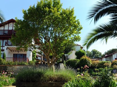 Cliquez pour découvrir toutes les photos de l'ÉTABLISSEMENT ! résidence Pierre & Vacances La Villa Maldagora photo 17