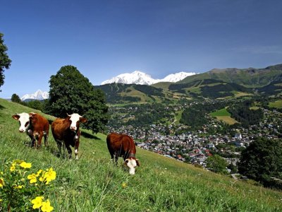 Cliquez pour découvrir toutes les photos de l'ÉTABLISSEMENT ! résidence Pierre & Vacances Le Mont D'Arbois photo 23