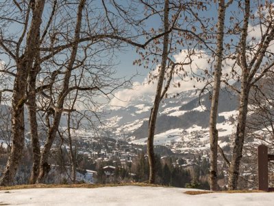 Cliquez pour découvrir toutes les photos de l'ÉTABLISSEMENT ! résidence Pierre & Vacances Le Mont D'Arbois photo 28
