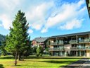 Cliquez pour découvrir toutes les photos de l'ÉTABLISSEMENT ! résidence Pierre & Vacances Le Sequoïa photo 2