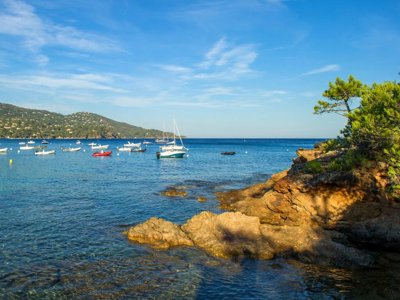 Cliquez pour découvrir toutes les photos de l'ÉTABLISSEMENT ! résidence Goélia Le Domaine De La Pinède photo 27