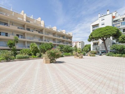 Cliquez pour découvrir toutes les photos de l'ÉTABLISSEMENT ! résidence Pierre & Vacances Le Port photo 8