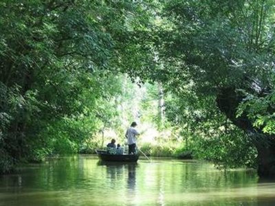 Cliquez pour découvrir toutes les photos de l'ÉTABLISSEMENT ! village vacances FranceComfort Bourg Est - Vilgilière photo 2