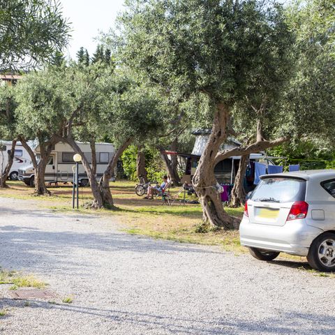 établissement Degli Ulivi photo 2