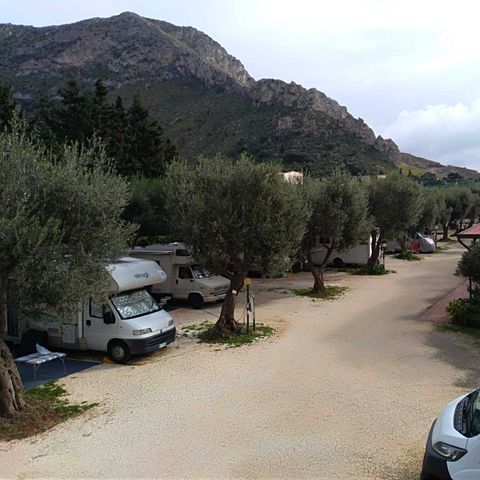 établissement Degli Ulivi photo 4