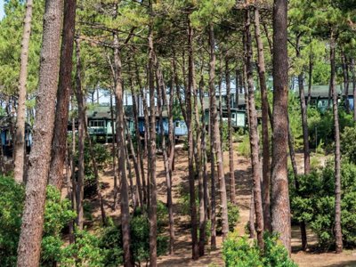 Cliquez pour découvrir toutes les photos de l'ÉTABLISSEMENT ! résidence SOWELL - Domaine Les Cavales photo 18