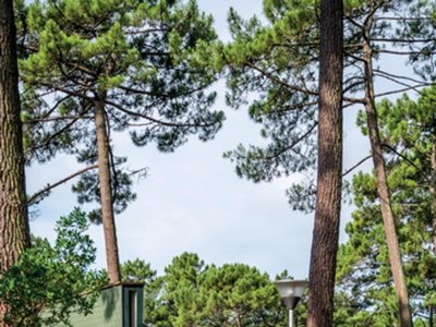 Cliquez pour découvrir toutes les photos de l'ÉTABLISSEMENT ! résidence SOWELL - Domaine Les Cavales photo 19
