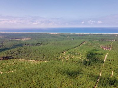 Cliquez pour découvrir toutes les photos de l'ÉTABLISSEMENT ! résidence SOWELL - Domaine Les Cavales photo 21