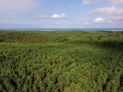 Cliquez pour découvrir toutes les photos de l'ÉTABLISSEMENT ! résidence SOWELL - Domaine Les Cavales photo 23