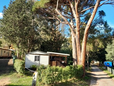 camping La Provençale photo 14