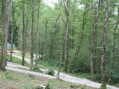 Cliquez pour découvrir toutes les photos de l'HÉBERGEMENT ! hébergement insolite - La Buissonnière Lodges photo 5