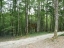 Cliquez pour découvrir toutes les photos de l'HÉBERGEMENT ! hébergement insolite - camping La Buissonnière Lodges photo 6