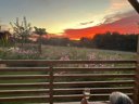 Cliquez pour découvrir toutes les photos de l'ÉTABLISSEMENT ! camping La Buissonnière Lodges photo 5