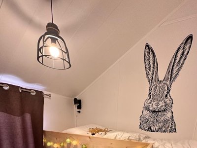 Cliquez pour découvrir toutes les photos de l'HÉBERGEMENT ! chalet - Damona Lodges photo 4