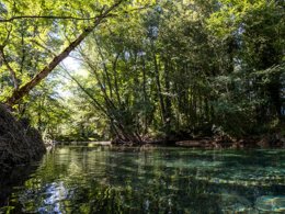 Camping Pas Cher vous présente avec son site Officiel campingpascher.fr, le Camping Slow Village Saint-Cybranet, situé sur la commune de Saint Cybranet dans le département Dordogne (Aquitaine) en France. Le camping Slow Village Saint-Cybranet, vous présente un hébergement de type chalet de 34 m². Le camping Slow Village Saint-Cybranet vous propose du dimanche 13 septembre au dimanche 20 septembre 2026 pour 7 nuits à 1104€. Cette location propose 45 dates différentes pour réserver votre séjour. Découvrez également les 5 autres gammes d'hébergements du camping. Les Avis clients pour le Camping Slow Village Saint-Cybranet sont excellents avec une note moyenne de 9 sur 10. Rivière, Piscine extérieure, Club enfants, Aire de jeux enfants, Baby-foot, Canoë-kayak, Centre équestre, Cyclisme, Ping-pong, Pétanque, Randonnée, Bar, Restaurant,... En savoir plus : cliquez-ICI.
