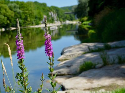 camping Les Peupliers photo 2