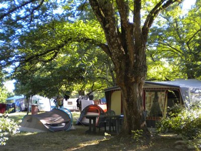 camping Les Peupliers photo 6