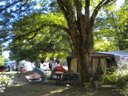 camping Les Peupliers photo 6