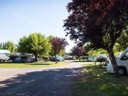 Cliquez pour découvrir toutes les photos de l'ÉTABLISSEMENT ! camping Du Bournat photo 11