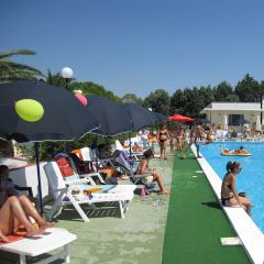 Camping Pas Cher vous présente avec son site Officiel campingpascher.fr, le Établissement Villaggio Tiziana, situé sur la commune de Manduria dans le département Tarente (Pouilles) en Italie. L'établissement Villaggio Tiziana vous propose un hébergement de type mobilhome. L'établissement vous propose 4 autres types d'hébergements. Découvrez tous nos séjours à petits prix dans la commune et aux alentours de Manduria du département : Tarente (Pouilles).... En savoir plus : cliquez-ICI.