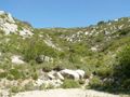 Camping Pas Cher vous présente avec son site Officiel campingpascher.fr, le Établissement De Puyloubier-Aquadis Loisirs, situé sur la commune de Puyloubier dans le département Bouches-du-rhone (Provence Alpes Côte D'azur) en France. L'établissement De Puyloubier-Aquadis Loisirs vous propose un hébergement de type hébergement insolite de 13 m². L'établissement vous propose 3 autres types d'hébergements. Découvrez tous nos séjours à petits prix dans la commune et aux alentours de Puyloubier du département : Bouches-du-rhone (Provence Alpes Côte D'azur).... En savoir plus : cliquez-ICI.
