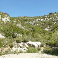 Camping Pas Cher vous présente avec son site Officiel campingpascher.fr, le Établissement De Puyloubier-Aquadis Loisirs, situé sur la commune de Puyloubier dans le département Bouches-du-rhone (Provence Alpes Côte D'azur) en France. L'établissement De Puyloubier-Aquadis Loisirs vous propose un hébergement de type hébergement insolite de 13 m². L'établissement vous propose 3 autres types d'hébergements. Découvrez tous nos séjours à petits prix dans la commune et aux alentours de Puyloubier du département : Bouches-du-rhone (Provence Alpes Côte D'azur).... En savoir plus : cliquez-ICI.