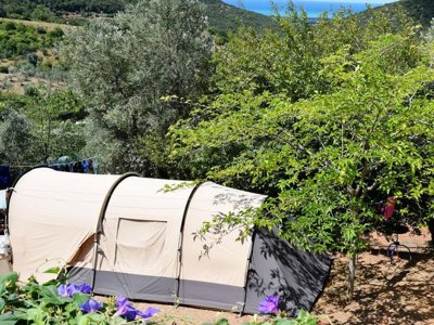 Cliquez pour découvrir toutes les photos de l'ÉTABLISSEMENT ! camping Villaggio Blucamp photo 25