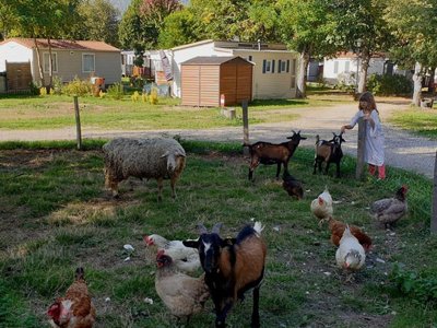 Cliquez pour découvrir toutes les photos de l'ÉTABLISSEMENT ! camping Village Des Bons-Hommes Au Pré Cathare photo 7