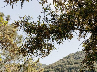 camping Slow Village Anduze photo 24