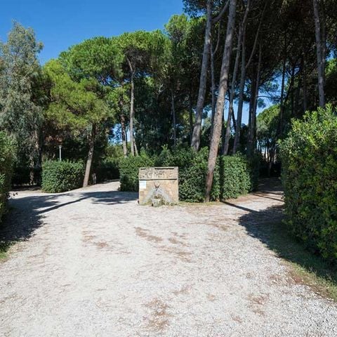 établissement Villagio Dei Pini photo 5