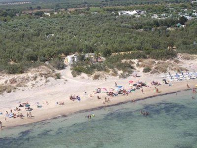 Cliquez pour découvrir toutes les photos de l'ÉTABLISSEMENT ! camping La Vecchia Torre photo 3