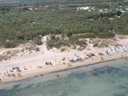 Cliquez pour découvrir toutes les photos de l'ÉTABLISSEMENT ! camping La Vecchia Torre photo 3