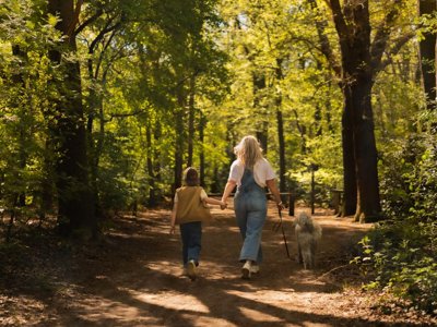 Cliquez pour découvrir toutes les photos de l'HÉBERGEMENT ! lodge - Vakantiehoeve Si-Es-An photo 18