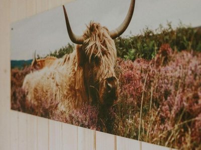 Cliquez pour découvrir toutes les photos de l'HÉBERGEMENT ! mini-maison - Vakantiehoeve Si-Es-An photo 8