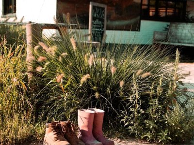 Cliquez pour découvrir toutes les photos de l'HÉBERGEMENT ! hébergement insolite - Vakantiehoeve Si-Es-An photo 12