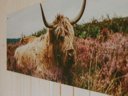 Cliquez pour découvrir toutes les photos de l'HÉBERGEMENT ! mini-maison - village vacances Vakantiehoeve Si-Es-An photo 8