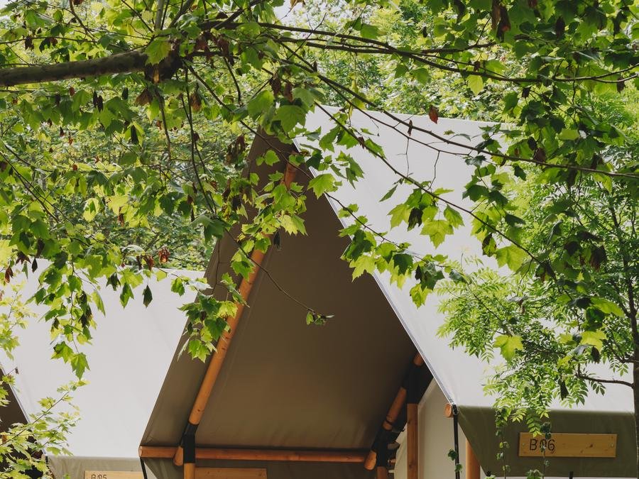 Camping Pas Cher vous présente avec son site Officiel campingpascher.fr, le Camping Wecamp San Sebastian classé 3 étoiles, situé sur la commune de San Sebastian dans le département Guipuscoa (Pays Basque) en Espagne. Le camping Wecamp San Sebastian vous propose un hébergement de type tente. L'établissement vous propose 3 autres types d'hébergements. Découvrez tous nos séjours à petits prix dans la commune et aux alentours de San Sebastian du département : Guipuscoa (Pays Basque). Piscine extérieure, Animations familiales, Club enfants, Aire de jeux enfants, Terrain multisports, Bar, Restaurant, Épicerie,... En savoir plus : cliquez-ICI.