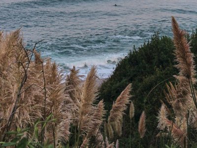 camping Wecamp San Sebastian photo 2