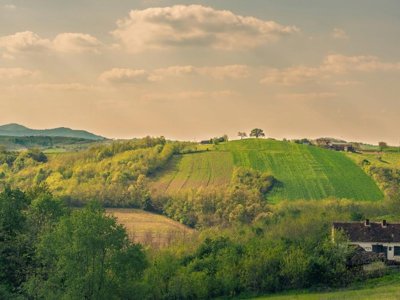 camping Wecamp Pinineos photo 2