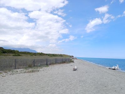 Cliquez pour découvrir toutes les photos de l'ÉTABLISSEMENT ! résidence Les Hauts Du Maquis photo 22
