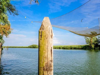 Cliquez pour découvrir toutes les photos de l'ÉTABLISSEMENT ! camping Glamping Tenuta Regina photo 15