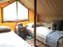 Cliquez pour découvrir toutes les photos de l'HÉBERGEMENT ! tente - camping Trasimeno Glamping Resort photo 5
