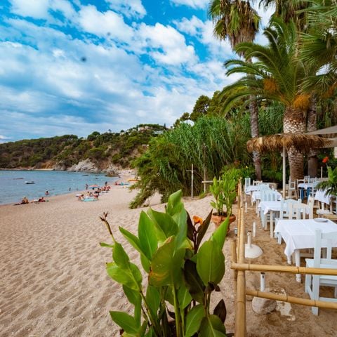 Cliquez pour découvrir toutes les photos de l'ÉTABLISSEMENT ! établissement Kampaoh Tossa De Mar photo 3