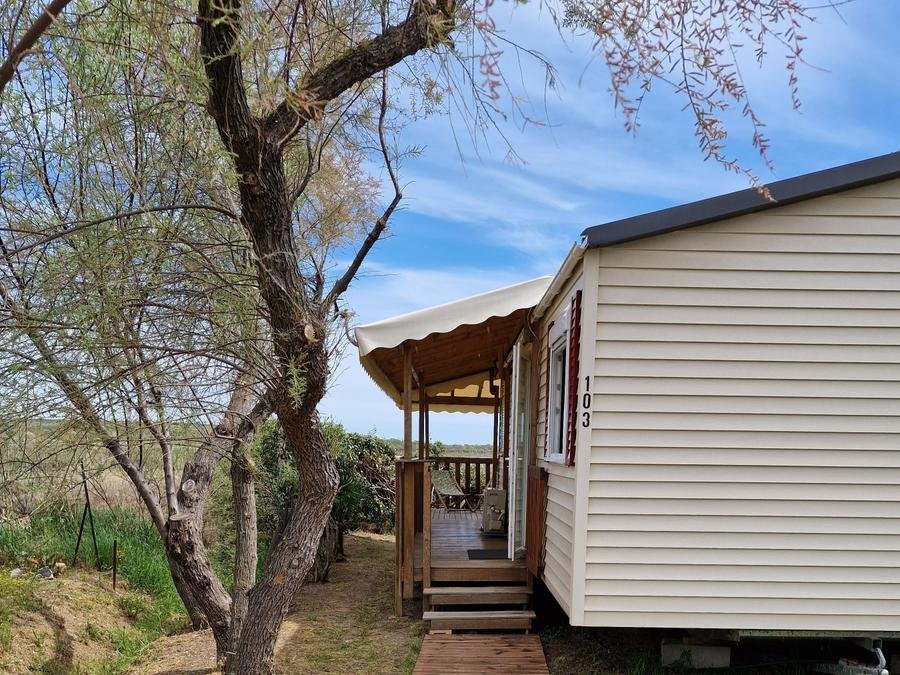 Camping Pas Cher vous présente avec son site Officiel campingpascher.fr, le Camping De L'Arnel classé 2 étoiles, situé sur la commune de Villeneuve Les Maguelonne dans le département Hérault (Languedoc Roussillon) en France. Le camping De L'Arnel, vous présente un hébergement de type mobil-home de 36 m² pour 6 personnes avec climatisation et télévision. Le camping De L'Arnel vous propose du sam. 29 août au sam. 05 septembre 2026 pour 7 nuits à 495€. Cette location propose 18 dates différentes pour réserver votre séjour. Découvrez également les 13 autres gammes d'hébergements du camping. Les Avis clients pour le Camping De L'Arnel sont excellents avec une note moyenne de 9 sur 10. MerÉtang, Bassin enfant, Piscine extérieure, Animations familiales, Cyclisme, Pétanque, Salle de jeux vidéo, Trampoline, Boulangerie, Bureau de tabac, Restaurant, Station-service, Supermarché,... En savoir plus : cliquez-ICI.
