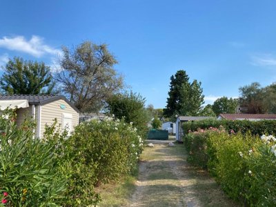 Cliquez pour découvrir toutes les photos de l'ÉTABLISSEMENT ! camping De L'Arnel photo 14